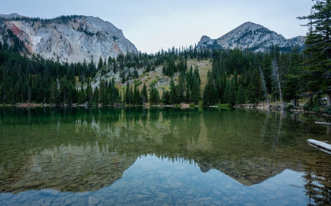 Echoes in the Rotunda: Defending Our Public Lands & Wild Future