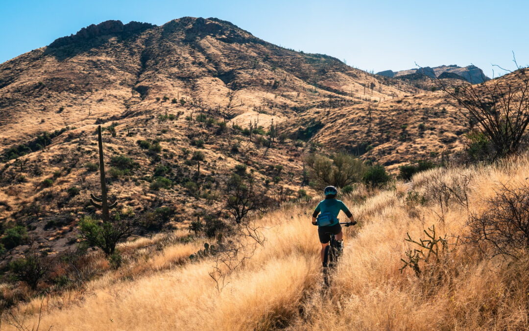Heat Waves 101: Why Summer Feels Like a Sufferfest